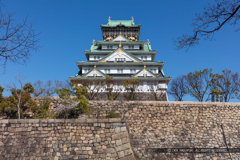 西の丸から見る大阪城天守閣・春