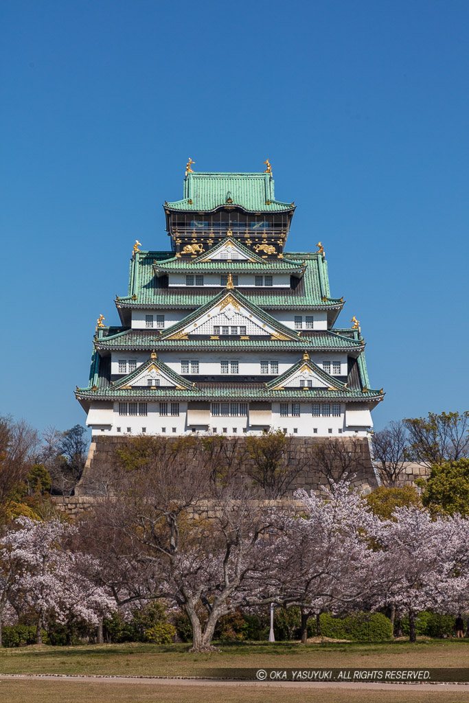 西の丸から見る大阪城天守閣・春