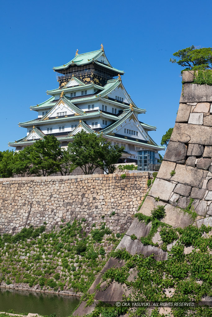 大阪城天守閣と本丸石垣・空堀・夏