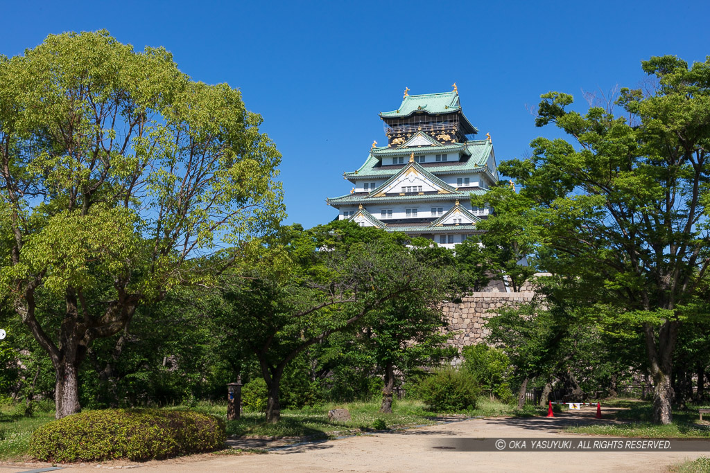 西の丸から見る大阪城天守閣・夏