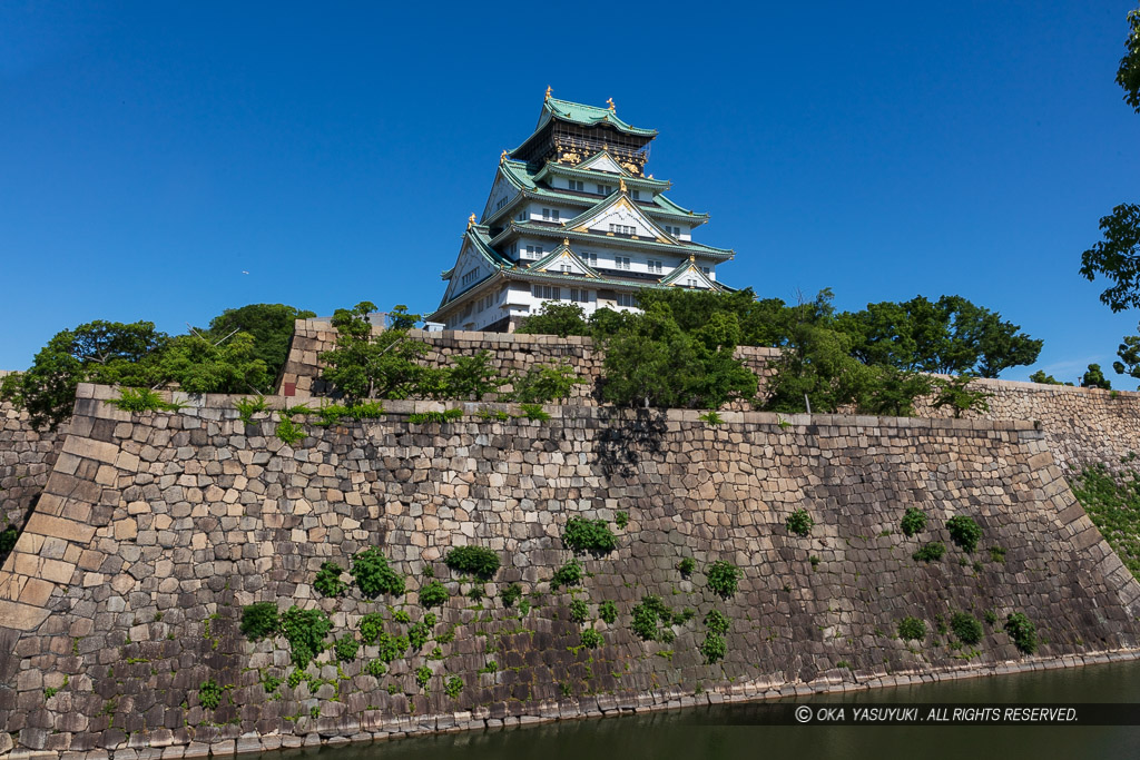 夏の大阪城天守閣