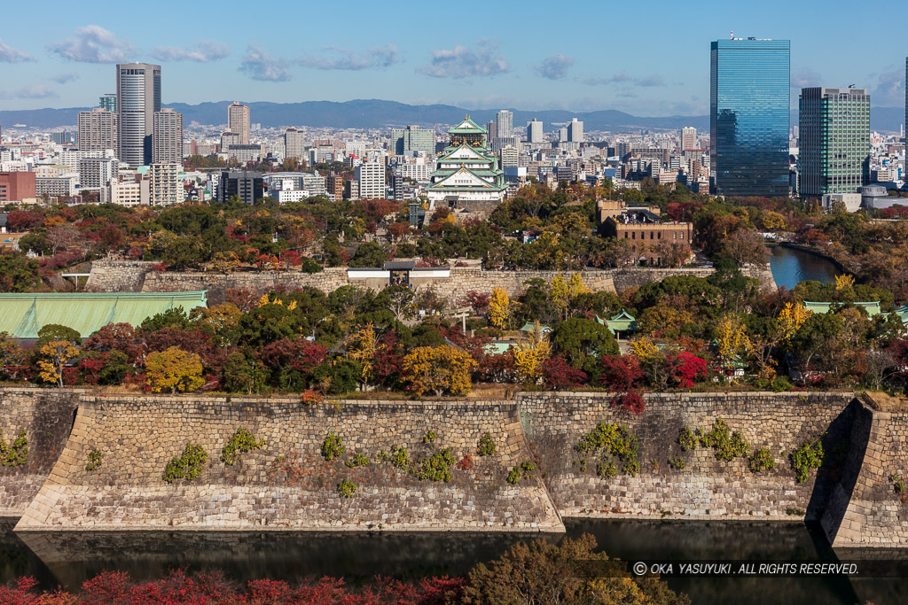 大阪城の石垣と天守・紅葉