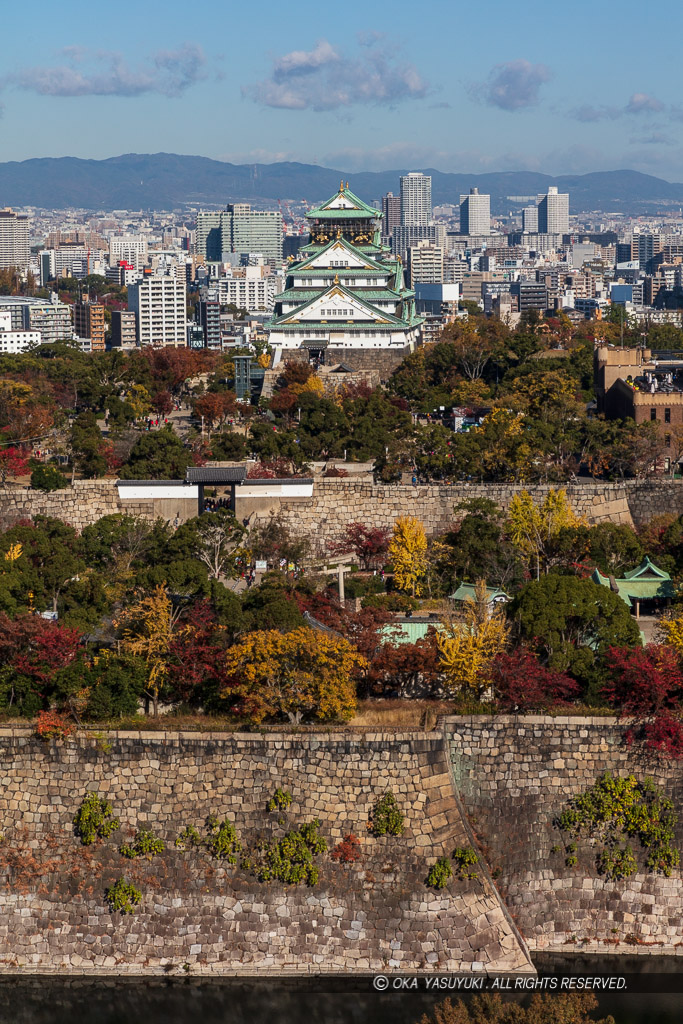 大阪城の石垣と天守・紅葉