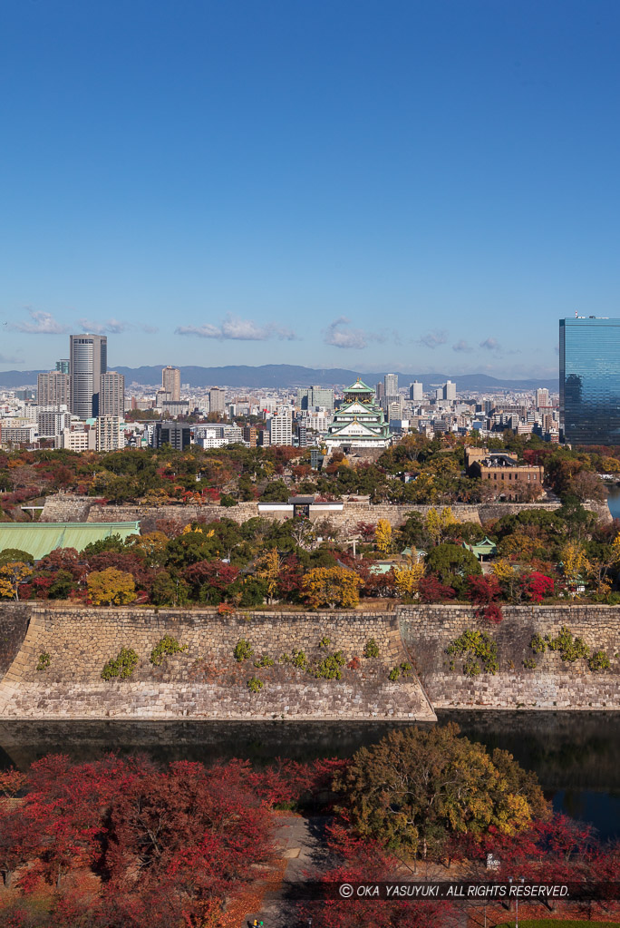 大阪城を南から望む・紅葉