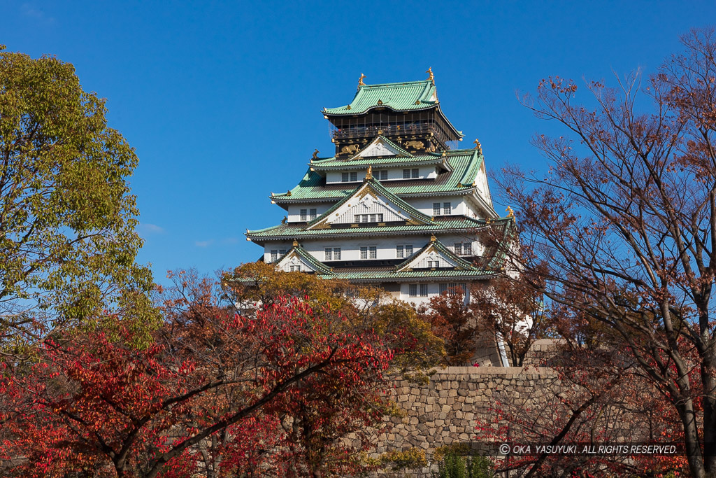 西の丸から見る大阪城天守閣と紅葉