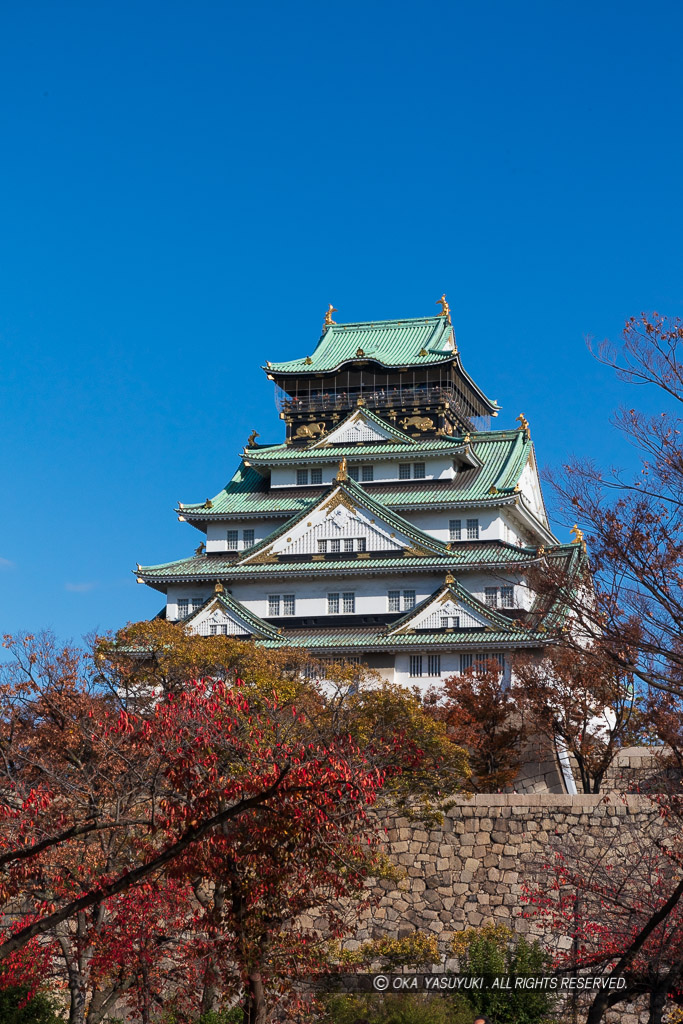 西の丸から見る大阪城天守閣と紅葉