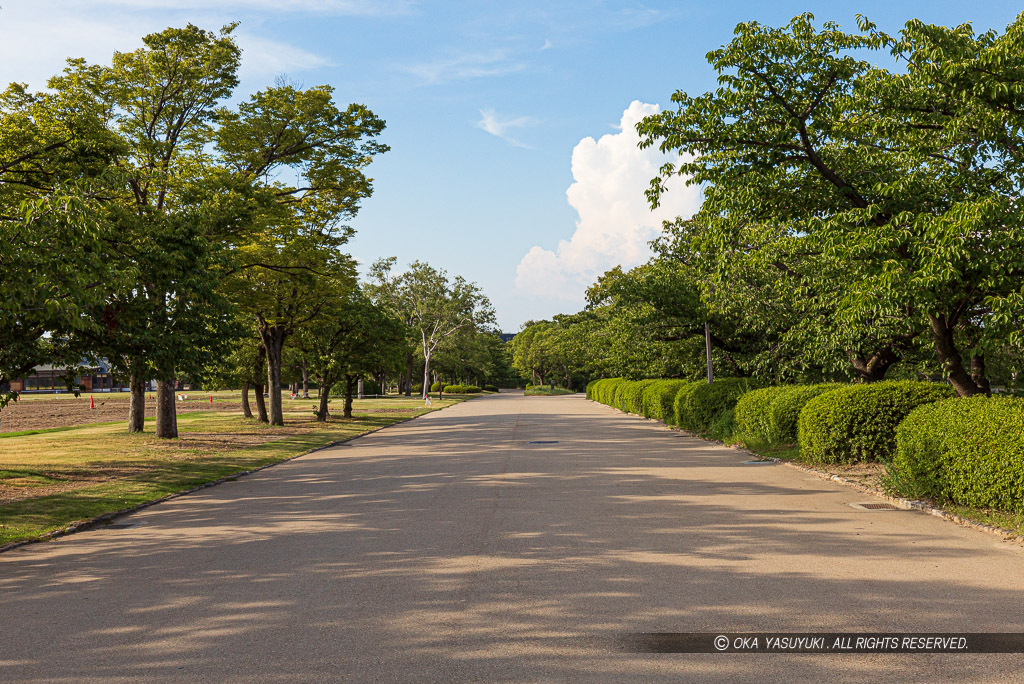 西の丸庭園の園路