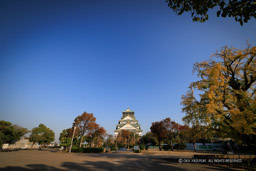 秋の大阪城本丸跡｜高解像度画像サイズ：8192 x 5464 pixels｜写真番号：344A5624｜撮影：Canon EOS R5