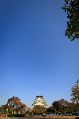 秋の大阪城本丸跡と青空｜高解像度画像サイズ：4436 x 6651 pixels｜写真番号：344A5625｜撮影：Canon EOS R5