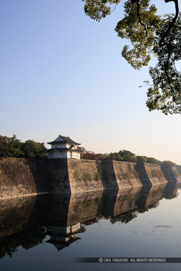 大阪城南外堀の朝｜高解像度画像サイズ：5237 x 7852 pixels｜写真番号：344A5747｜撮影：Canon EOS R5