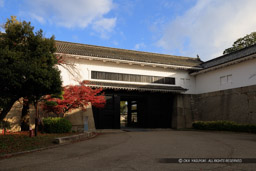 大阪城大手口多聞櫓・虎口・紅葉｜高解像度画像サイズ：8192 x 5464 pixels｜写真番号：344A6927｜撮影：Canon EOS R5