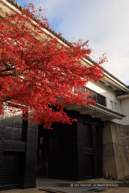 大阪城大手口多聞櫓の紅葉｜高解像度画像サイズ：5099 x 7644 pixels｜写真番号：344A6929｜撮影：Canon EOS R5