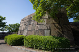 玉造口の改編された石垣|高解像度画像サイズ:6720 x 4480 pixels|写真番号:5D4A1263|撮影:Canon EOS 5D Mark IV