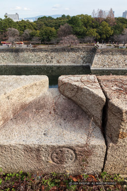 二の丸一番櫓付近から東を見る|高解像度画像サイズ:5792 x 8688 pixels|写真番号:5DSA0025|撮影:Canon EOS 5DS