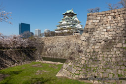 大阪城天守閣と本丸石垣・空堀・春|高解像度画像サイズ:8467 x 5644 pixels|写真番号:5DSA1199|撮影:Canon EOS 5DS