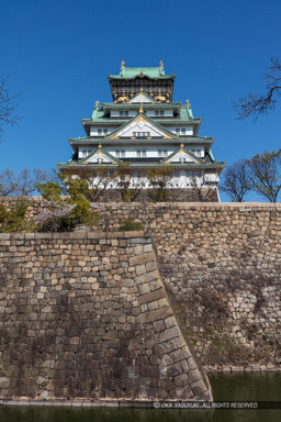 西の丸から見る大阪城天守閣・春|高解像度画像サイズ:5739 x 8609 pixels|写真番号:5DSA1209|撮影:Canon EOS 5DS