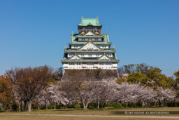 西の丸から見る大阪城天守閣・春｜高解像度画像サイズ：8688 x 5792 pixels｜写真番号：5DSA1219｜撮影：Canon EOS 5DS