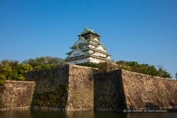 内堀から見る大阪城天守閣｜高解像度画像サイズ：8688 x 5792 pixels｜写真番号：5DSA1461｜撮影：Canon EOS 5DS