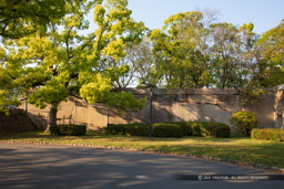 京橋口虎口石垣｜高解像度画像サイズ：8688 x 5792 pixels｜写真番号：5DSA1464｜撮影：Canon EOS 5DS