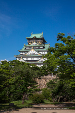 西の丸から大阪城天守閣｜高解像度画像サイズ：5792 x 8688 pixels｜写真番号：5DSA1674｜撮影：Canon EOS 5DS