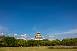 西の丸から見る大阪城天守閣｜高解像度画像サイズ：8555 x 5703 pixels｜写真番号：5DSA1696｜撮影：Canon EOS 5DS