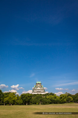 西の丸から見る大阪城天守閣｜高解像度画像サイズ：5792 x 8688 pixels｜写真番号：5DSA1697｜撮影：Canon EOS 5DS