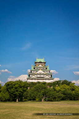 西の丸から見る大阪城天守閣｜高解像度画像サイズ：5792 x 8688 pixels｜写真番号：5DSA1698｜撮影：Canon EOS 5DS