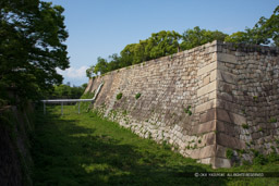 本丸空堀｜高解像度画像サイズ：8688 x 5792 pixels｜写真番号：5DSA1775｜撮影：Canon EOS 5DS