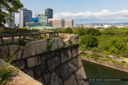 月見櫓跡｜高解像度画像サイズ：8346 x 5564 pixels｜写真番号：5DSA1801｜撮影：Canon EOS 5DS