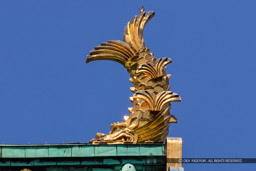 大阪城天守閣の鯱|高解像度画像サイズ:3291 x 2194 pixels|写真番号:5DSA1973-Edit|撮影:Canon EOS 5DS