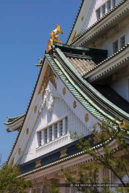 大阪城天守閣千鳥破風｜高解像度画像サイズ：5792 x 8688 pixels｜写真番号：5DSA1979｜撮影：Canon EOS 5DS