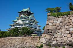 大阪城天守閣と本丸石垣・夏｜高解像度画像サイズ：8688 x 5792 pixels｜写真番号：5DSA2165｜撮影：Canon EOS 5DS