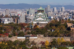 大阪城天守閣と桜門・紅葉｜高解像度画像サイズ：8605 x 5737 pixels｜写真番号：5DSA9406｜撮影：Canon EOS 5DS