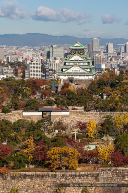 大阪城天守閣と桜門・二の丸石垣・紅葉|高解像度画像サイズ:5788 x 8681 pixels|写真番号:5DSA9440|撮影:Canon EOS 5DS