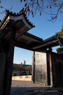 大阪城桜門｜高解像度画像サイズ：5792 x 8688 pixels｜写真番号：5DSA9517｜撮影：Canon EOS 5DS