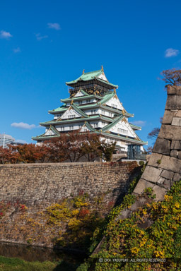 大阪城天守閣と本丸石垣・空堀・紅葉|高解像度画像サイズ:5792 x 8688 pixels|写真番号:5DSA9583|撮影:Canon EOS 5DS