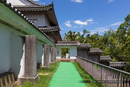 多聞櫓北方塀の武者走り|高解像度画像サイズ:6720 x 4480 pixels|写真番号:_D4A2129|撮影:Canon EOS 5D Mark IV