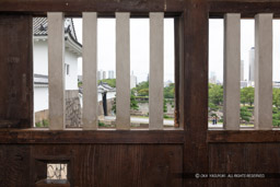 千貫櫓から見る大手土橋|高解像度画像サイズ:6720 x 4480 pixels|写真番号:_D4A2976|撮影:Canon EOS 5D Mark IV