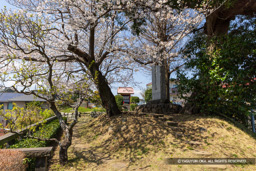 上原館(西山城) | 高解像度画像サイズ:8192 x 5464 pixels | 写真番号:6F1A5199 | 撮影:Canon EOS R5m2
