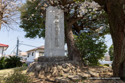 上原館・西山城大友屋形阯石碑 | 高解像度画像サイズ：8192 x 5464 pixels | 写真番号：6F1A5203 | 撮影：Canon EOS R5m2