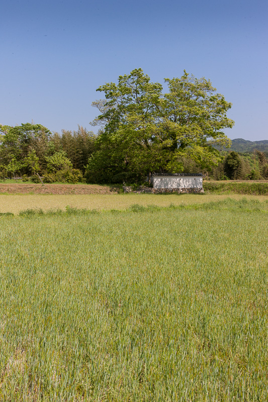 二の丸と竹慶寺跡