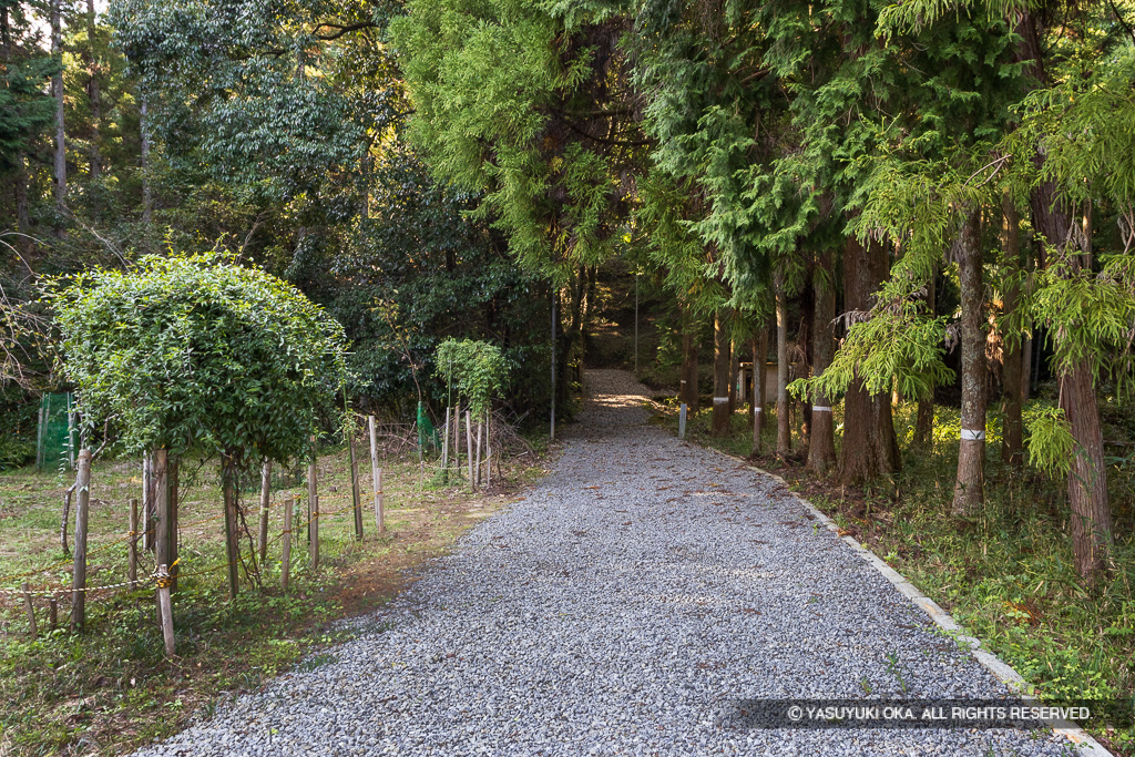 二の丸跡の登城路