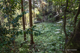 御納戸跡 | 高解像度画像サイズ：6000 x 4000 pixels | 写真番号：IMG_1098 | 撮影：Canon EOS R10