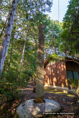 史蹟大河内城址石碑 | 高解像度画像サイズ：4000 x 6000 pixels | 写真番号：IMG_1103 | 撮影：Canon EOS R10