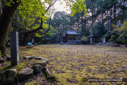 本丸跡 | 高解像度画像サイズ：6000 x 4000 pixels | 写真番号：IMG_1113 | 撮影：Canon EOS R10