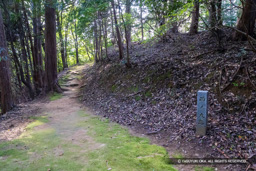 西の丸跡 | 高解像度画像サイズ：6000 x 4000 pixels | 写真番号：IMG_1125 | 撮影：Canon EOS R10