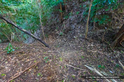 西の丸北曲輪堀切 | 高解像度画像サイズ：6000 x 4000 pixels | 写真番号：IMG_1136 | 撮影：Canon EOS R10