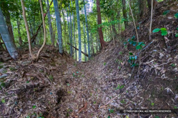 北東曲輪堀切 | 高解像度画像サイズ：6000 x 4000 pixels | 写真番号：IMG_1148 | 撮影：Canon EOS R10