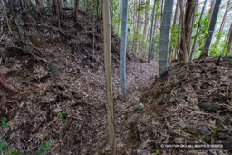 北東曲輪堀切 | 高解像度画像サイズ：6000 x 4000 pixels | 写真番号：IMG_1152 | 撮影：Canon EOS R10