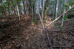 北曲輪跡 | 高解像度画像サイズ：6000 x 4000 pixels | 写真番号：IMG_1155 | 撮影：Canon EOS R10